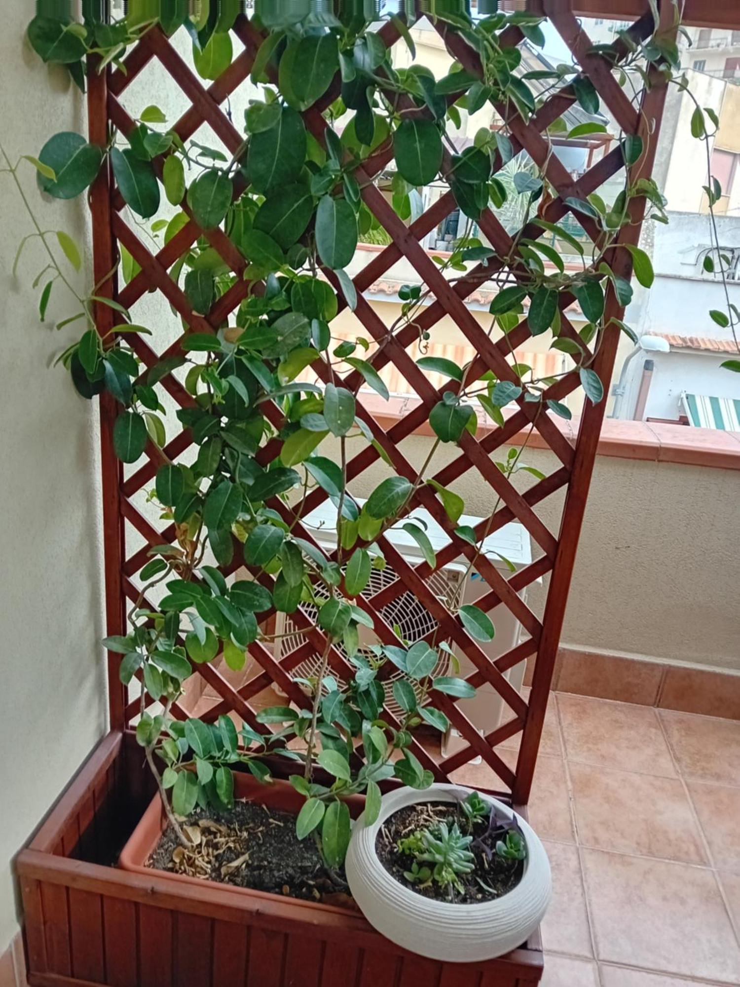 A Casa Tua Affitti Brevi Bed & Breakfast Noto Phòng bức ảnh